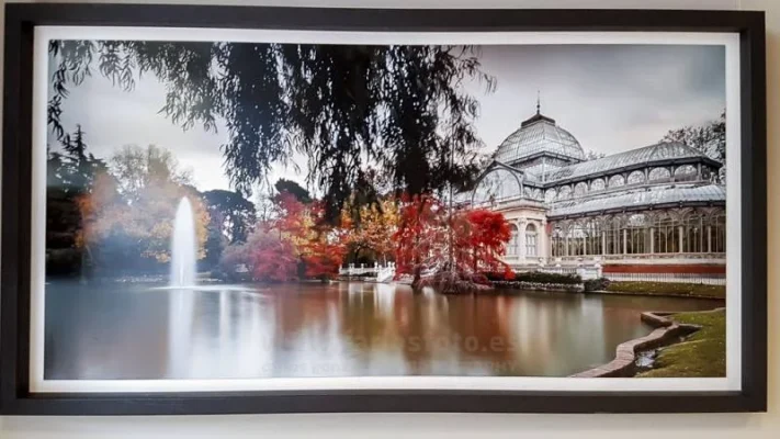 Exposición > 2017 – Sala de Exposiciones Rococo