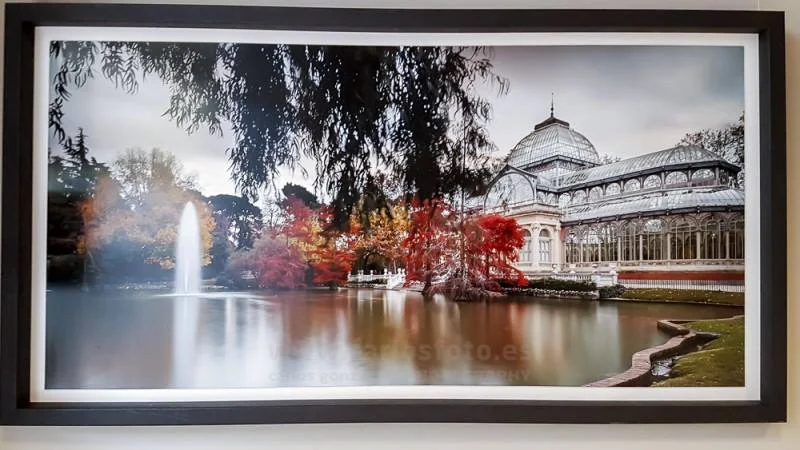Exposición > 2017 – Sala de Exposiciones Rococo