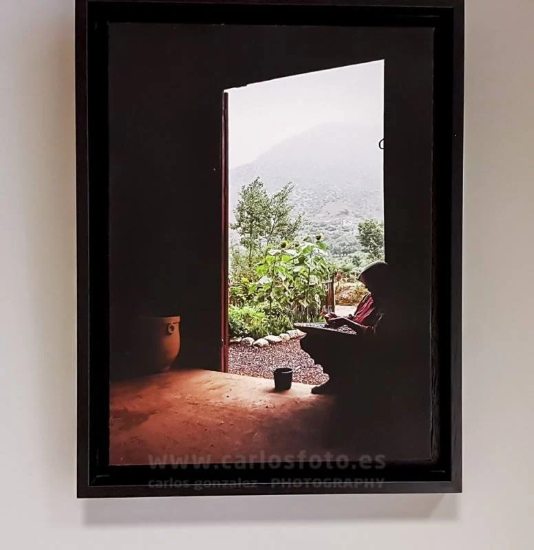 Exposición > 2017 – Sala de Exposiciones Rococo