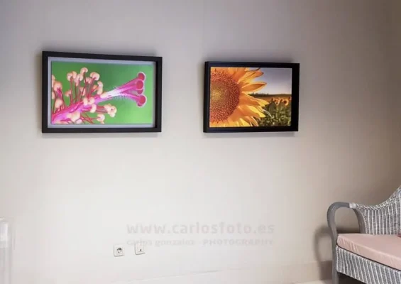 Exposición > 2017 – Sala de Exposiciones Rococo