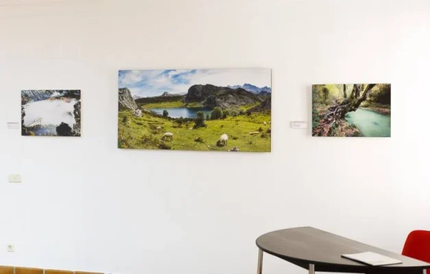 Exposición > 2016 – Palacio Plz del Infante D. J. Manuel. Alarcón
