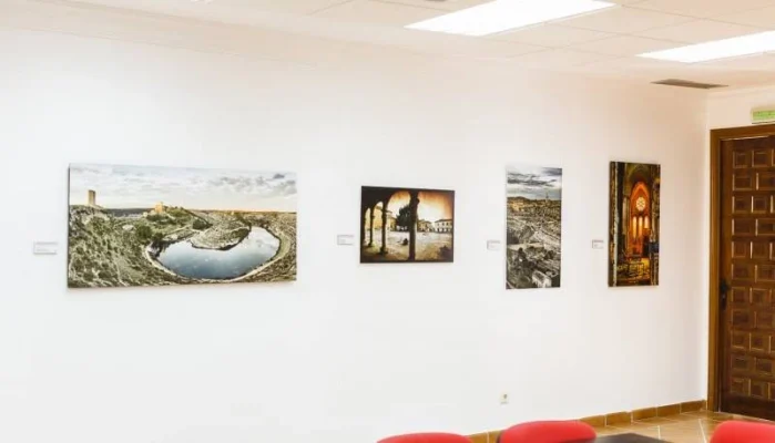 Exposición > 2016 – Palacio Plz del Infante D. J. Manuel. Alarcón