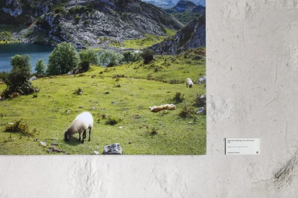 Exposición > 2014 – Real Balneario Solán de Cabras, Cuenca.España