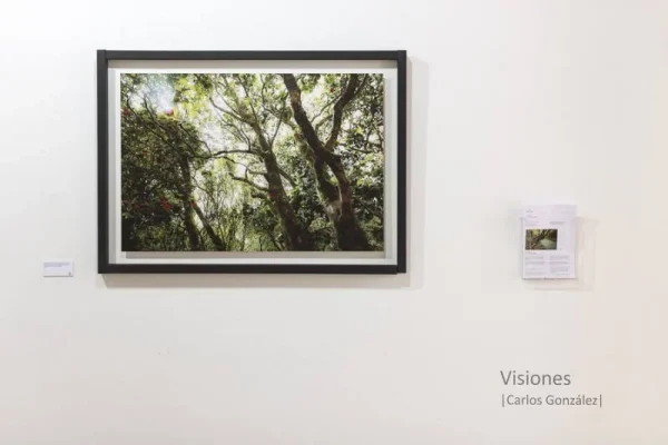 Exposición > 2014 – San Clemente, Cuenca. España