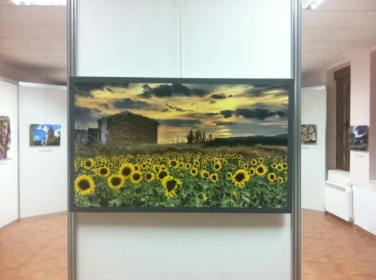 Exposición > 2011 – Cañaveras, Cuenca. España.
