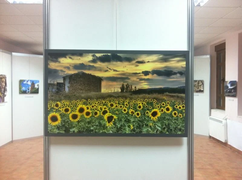 Exposición > 2011 – Cañaveras, Cuenca. España.