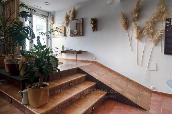 Servicios > Centro Cuidarte – Madrid