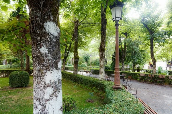 Servicios > Solán de Cabras – Cuenca