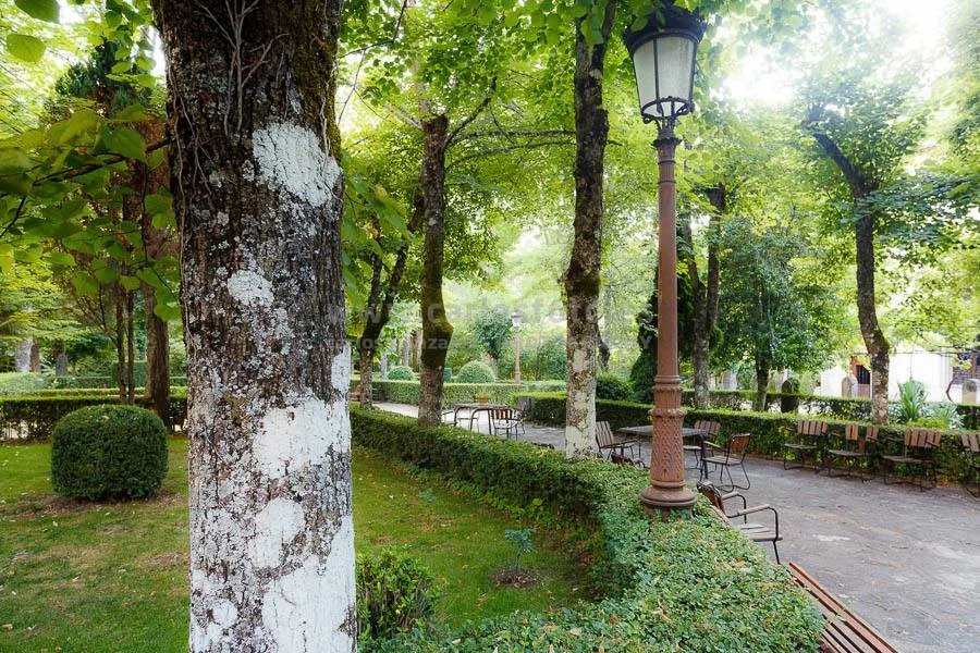 Servicios > Solán de Cabras – Cuenca