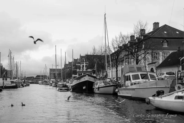 Copenhague