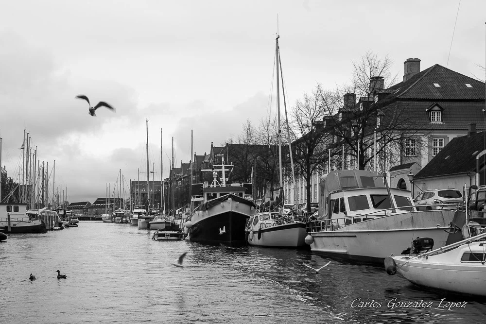Copenhague
