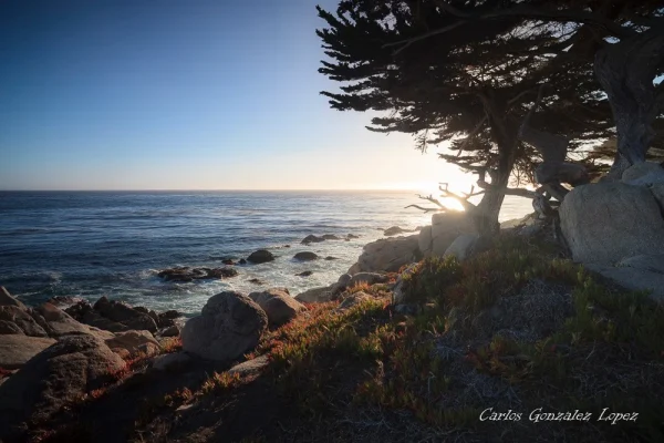 California