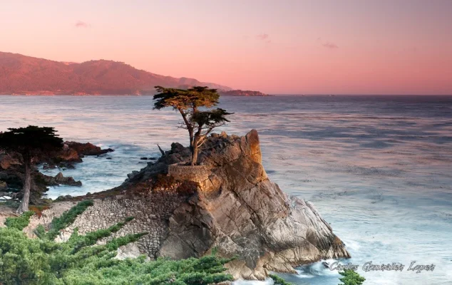 California