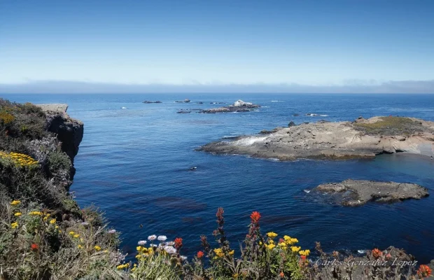 California
