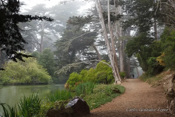 Golden Gate Park
San Francisco, EE. UU. en un día nublado
