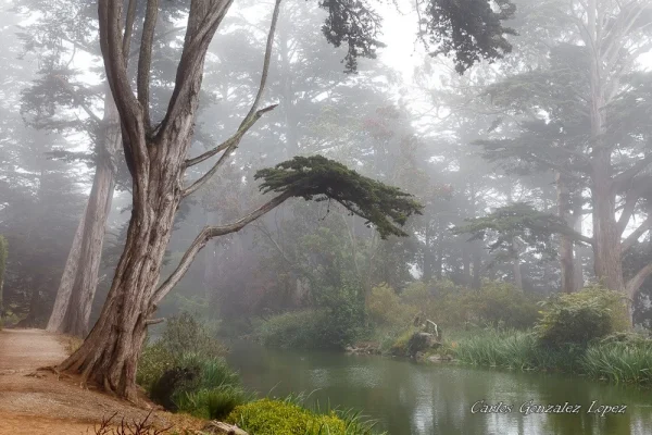 San Francisco