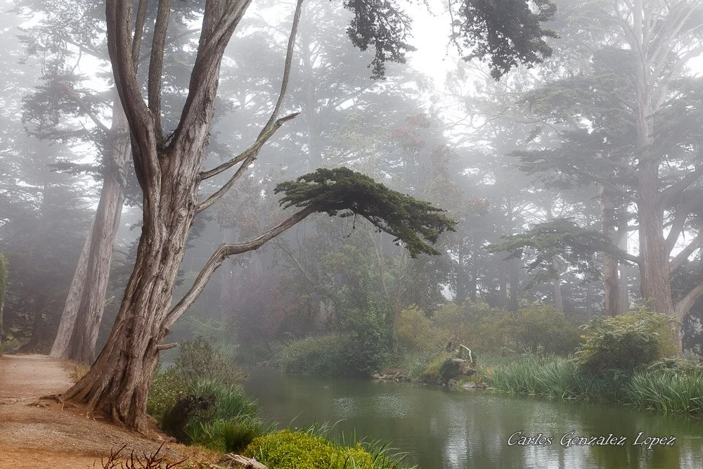 San Francisco