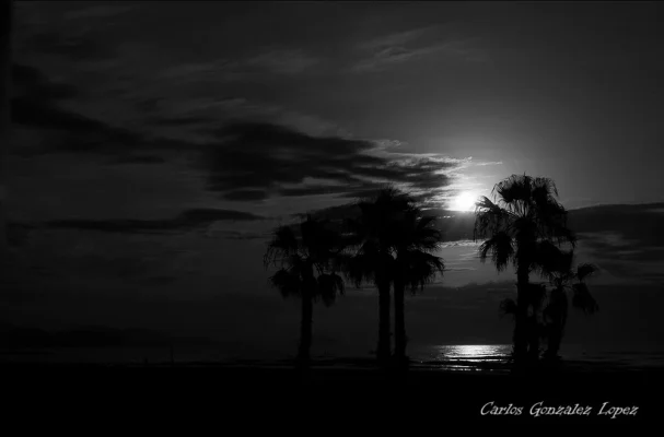 Paseo por la arena, Playa de San Juan (Alicante)