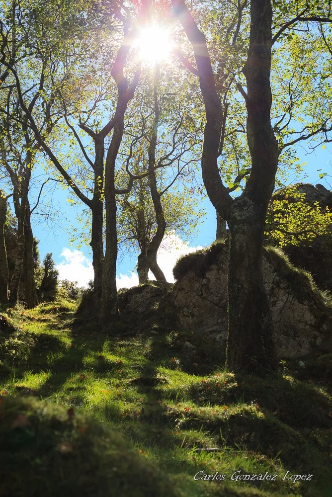 Asturias