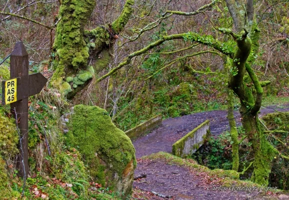 Puente verde, Asturias