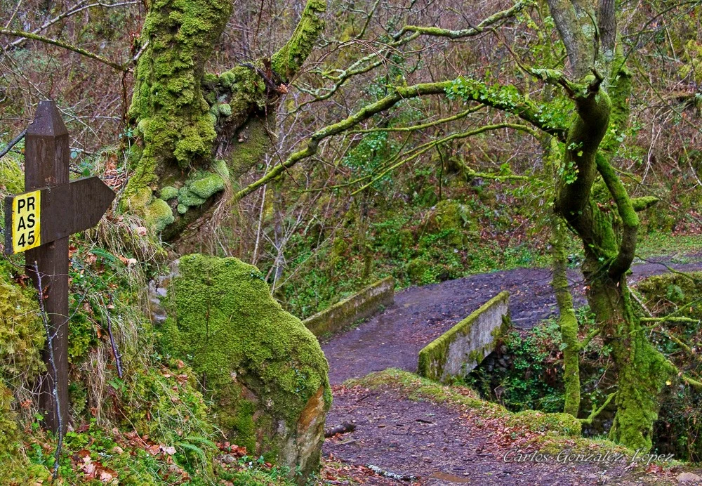 Puente verde, Asturias