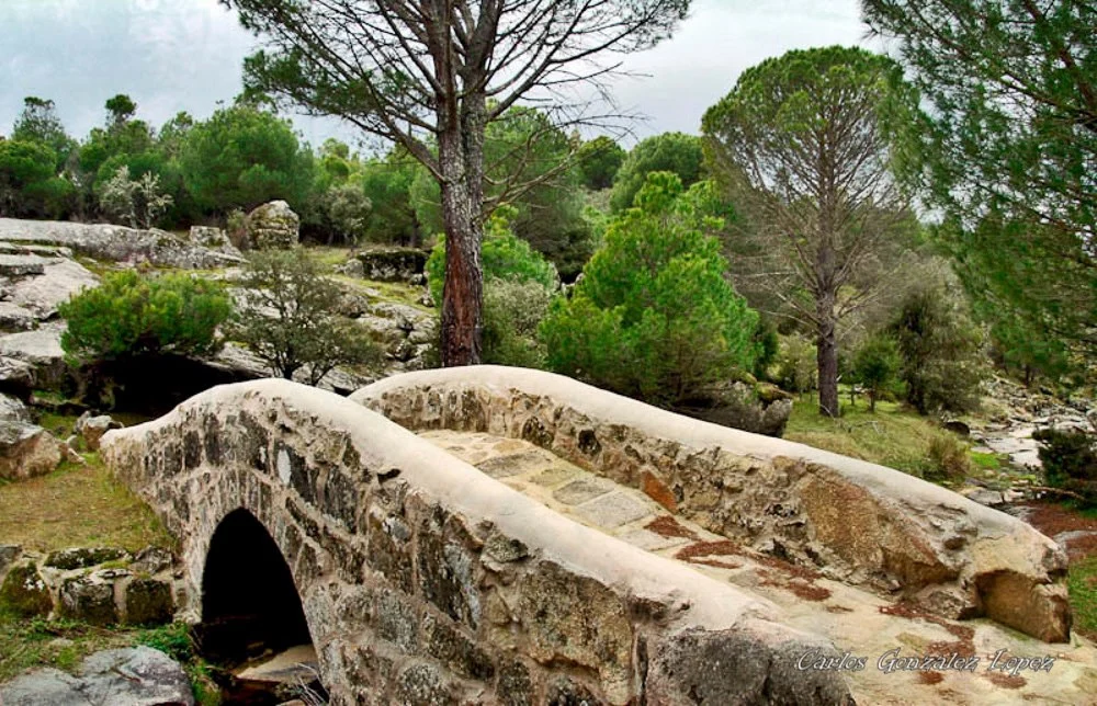 Puente en el Valle Tietar (Avila)