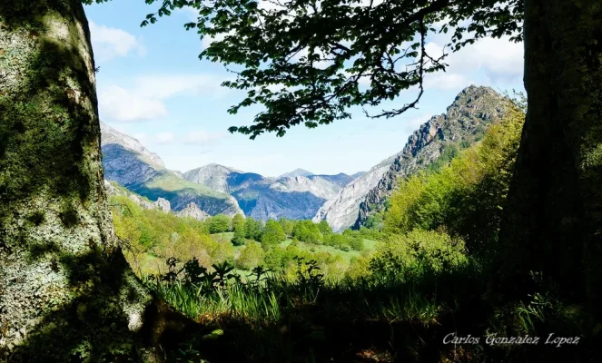 Picos de Europa
