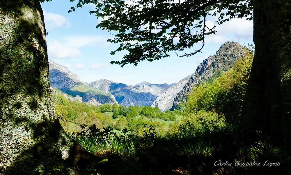 Picos de Europa