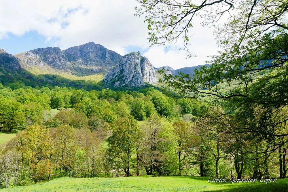 Picos de Europa