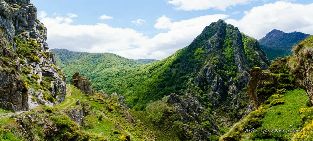 Picos de Europa