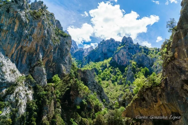 Picos de Europa