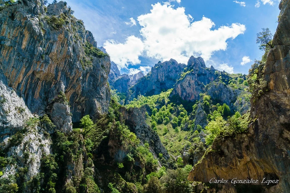 Picos de Europa