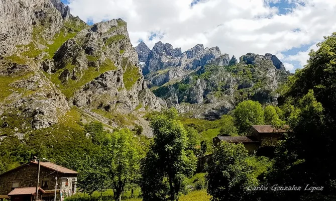 Picos de Europa