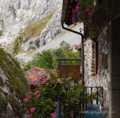 Picos de Europa