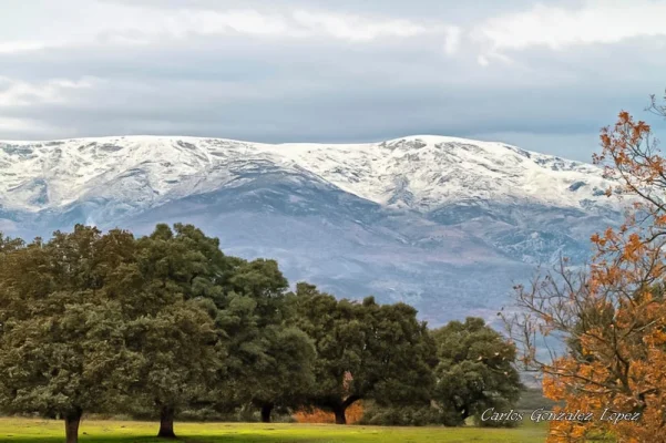 Paisaje nevado, Candeleda (Avila)