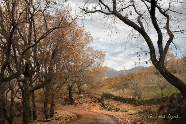 Sendero por Candeleda (Avila)