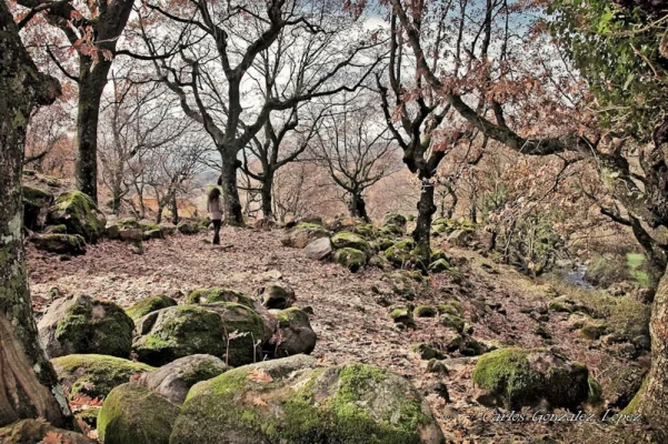 Sendero enmarcado, Candeleda (Avila)