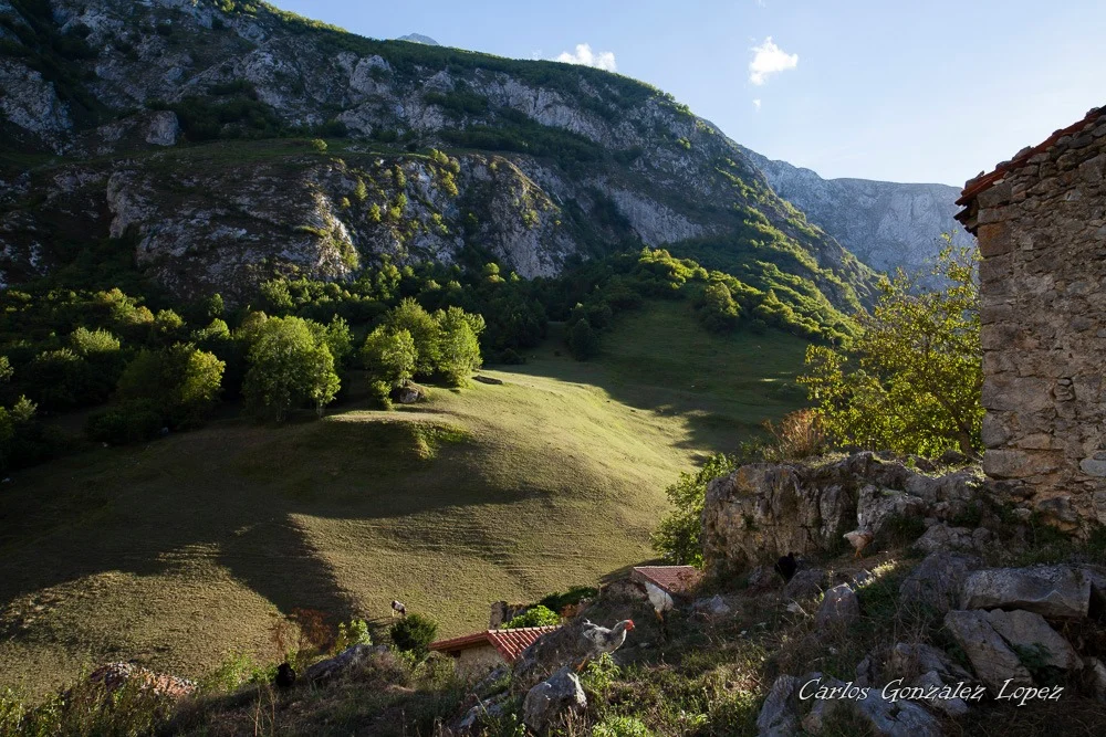 Cantabria