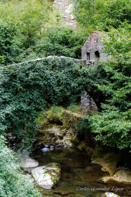Cantabria