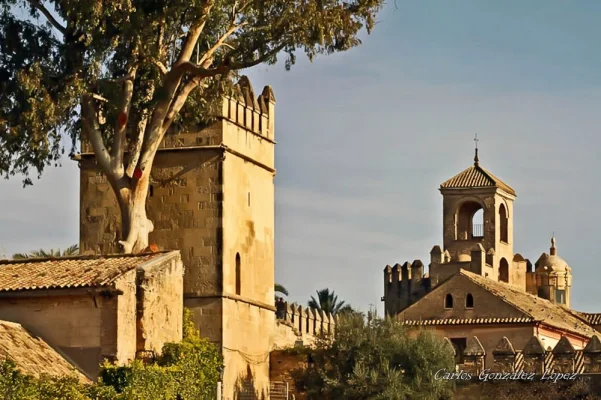 Jardin Alcazar, Cordoba