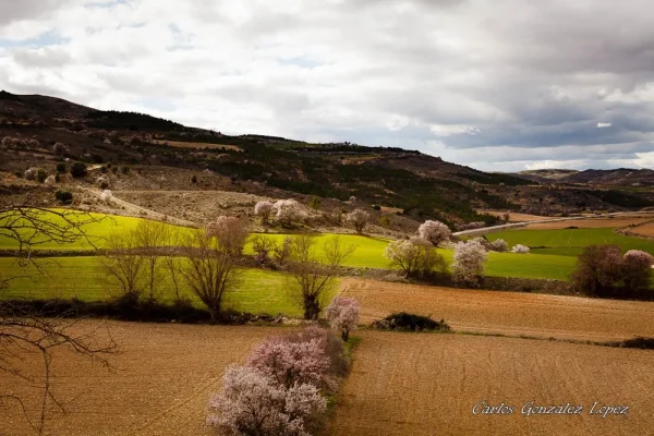 Cuenca