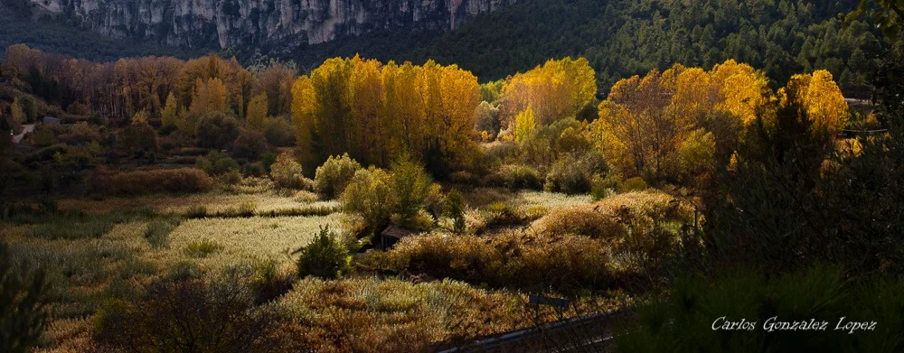 Parque Natural de la SerranÃa de Cuenca
2012