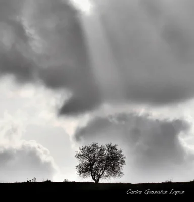Arbol iluminado de la Alcarria, Cuenca