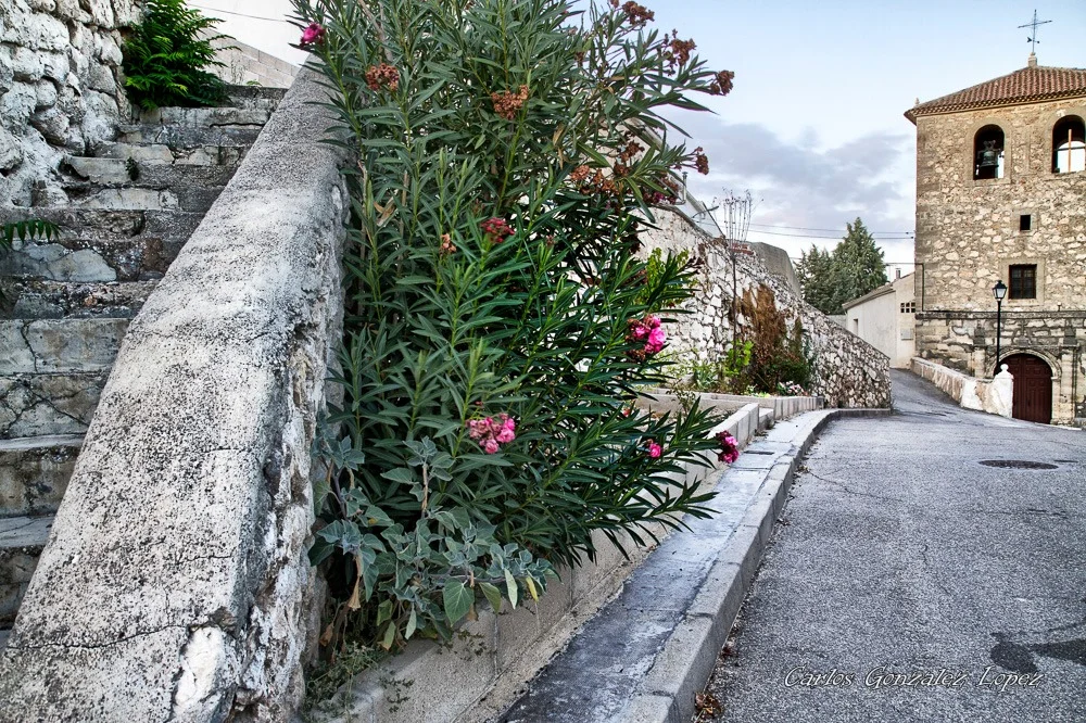 Peraleja, calle de la Iglesia