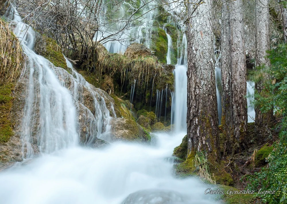 Nacimiento del río Cuervo (Vega del Codorno)