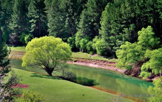 Carretera verde, Embalse de la Toba (Cuenca)