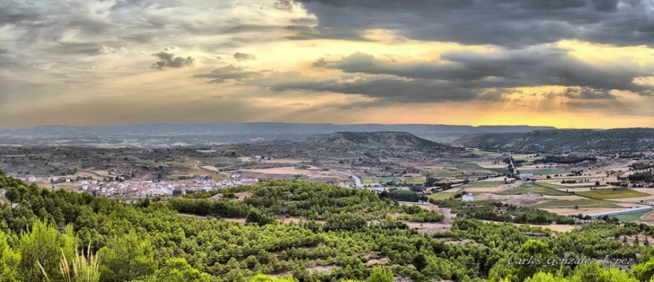 Cañaveras