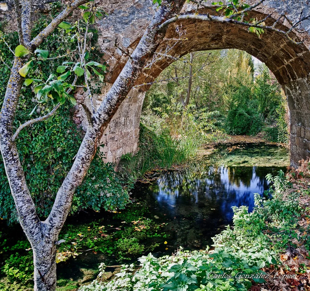 Puente sobre rio en Palomera (Cuenca)