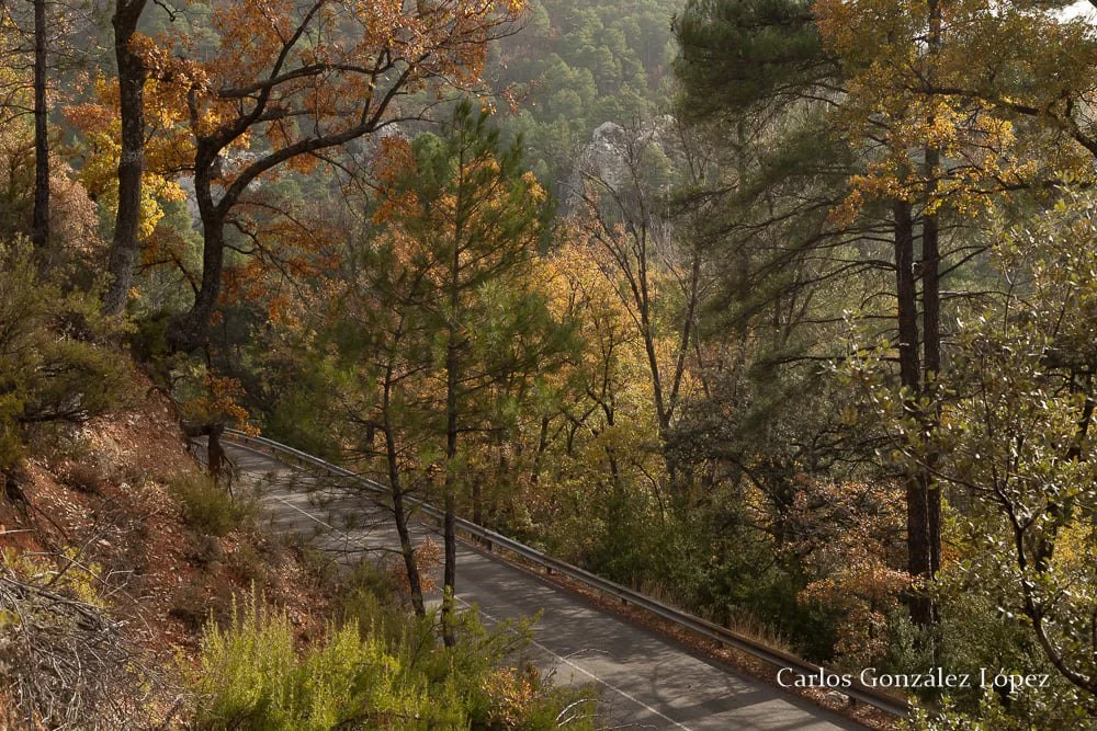 Obras – España – Provincia de Cuenca