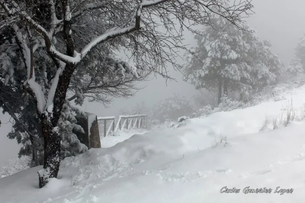 Subiendo al Cristo nevado